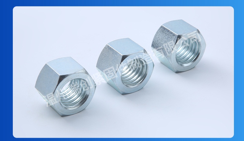 detail13.9e6ff4bdb806724d